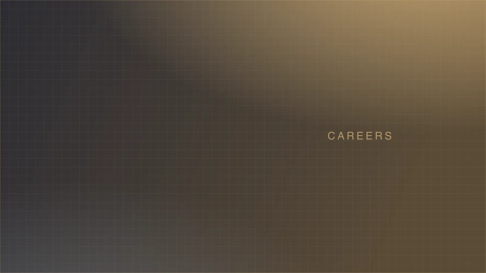 Placeholder image — careers